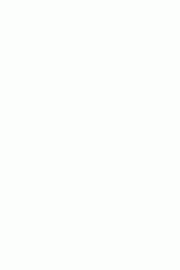 MisoLive-200-x-300-px-8.gif