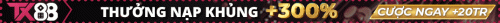 1072x50-1.gif