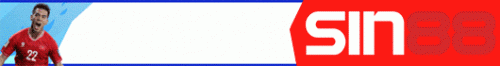 Sin_530x70.gif