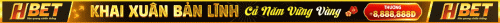 1072x50-1.gif