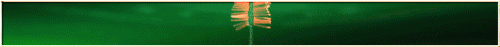 CPD_11BET_TET_530x50.gif