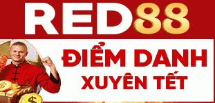 RED88-OPTION-1a_311x150.gif