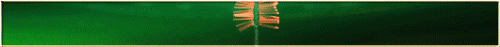 CPD_11BET_TET_530x50.gif