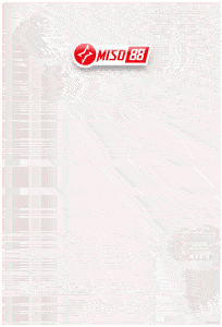 miso88-204x300-ezgif.com-optimize-11.gif