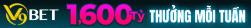 538x60-evoliveweeklycashdrop-vn.gif