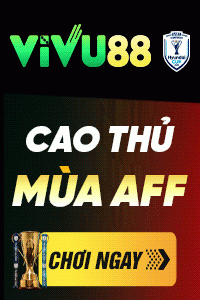 vivu-AFF-200x300.gif